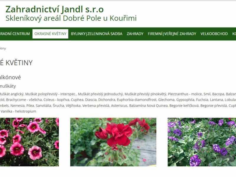 květiny_jandl1